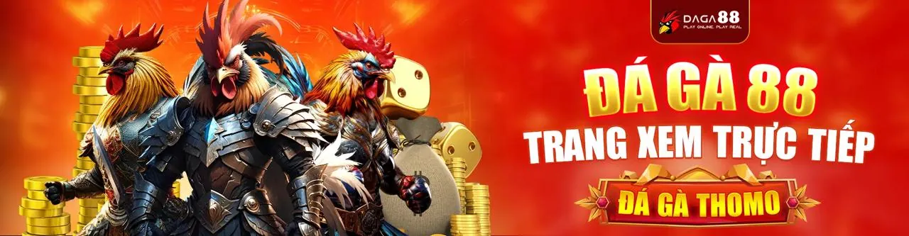 Sân đấu đá gà trực tuyến kịch tính tại Sodo666